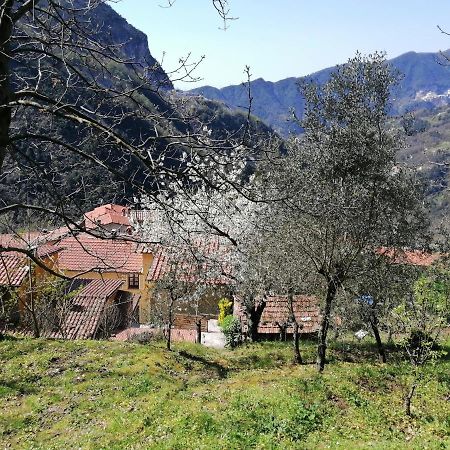 Bed and Breakfast Il Metato Di Gallena Stazzema Exteriér fotografie