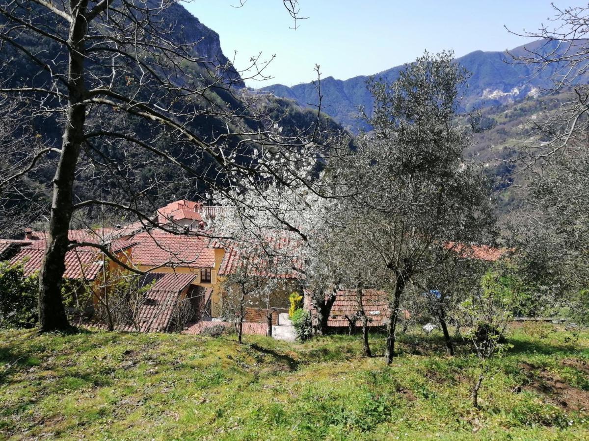 Bed and Breakfast Il Metato Di Gallena Stazzema Exteriér fotografie