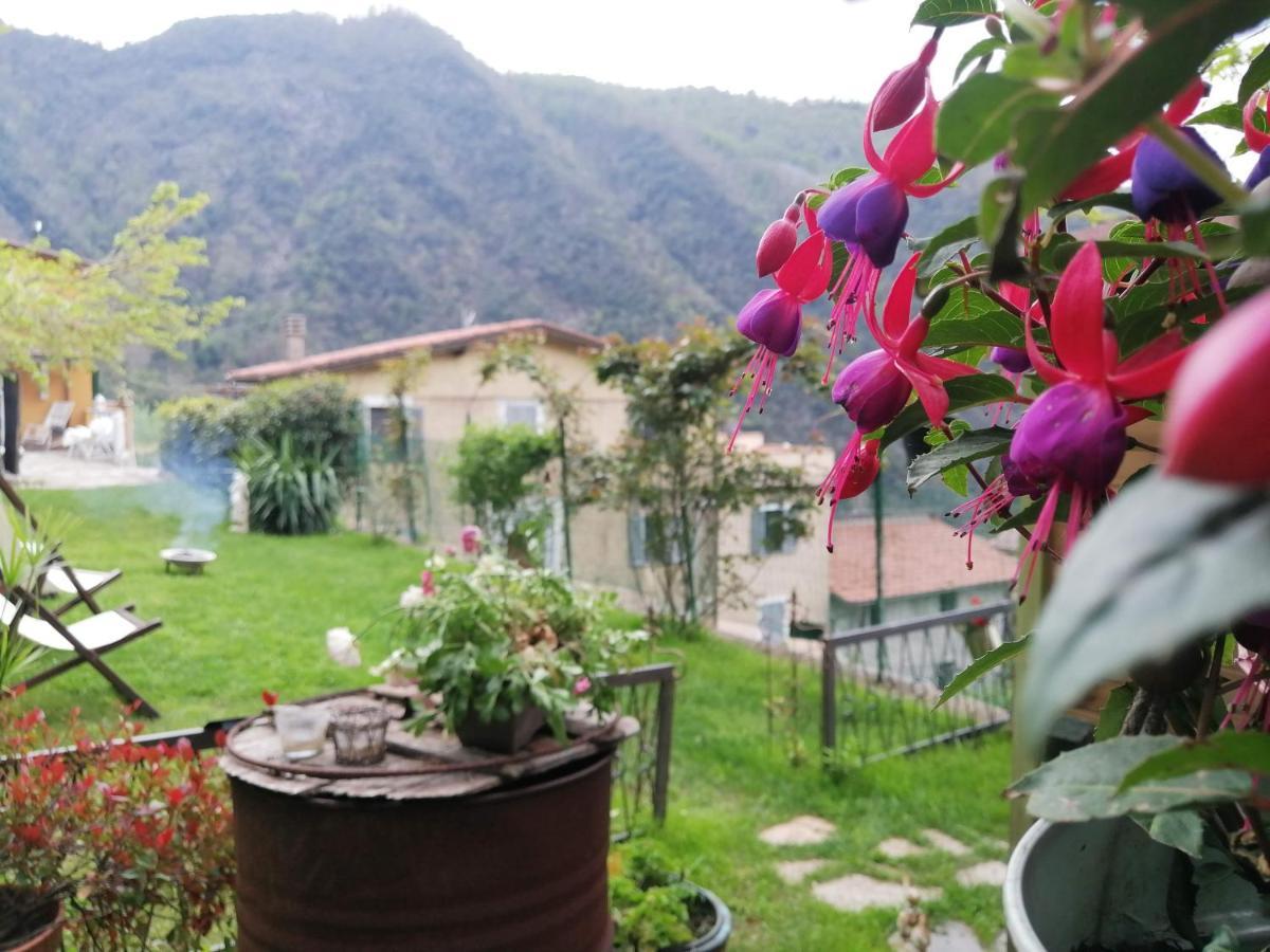 Bed and Breakfast Il Metato Di Gallena Stazzema Exteriér fotografie