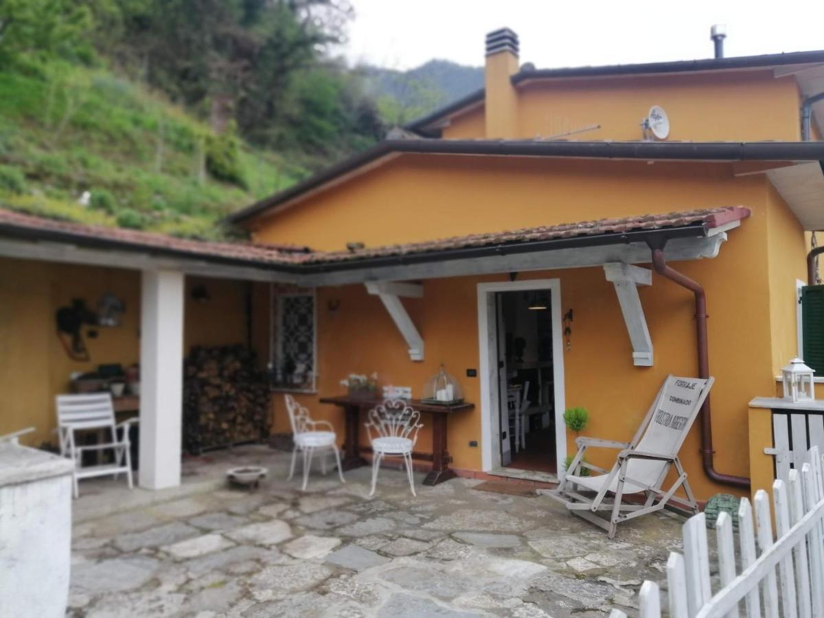 Bed and Breakfast Il Metato Di Gallena Stazzema Exteriér fotografie