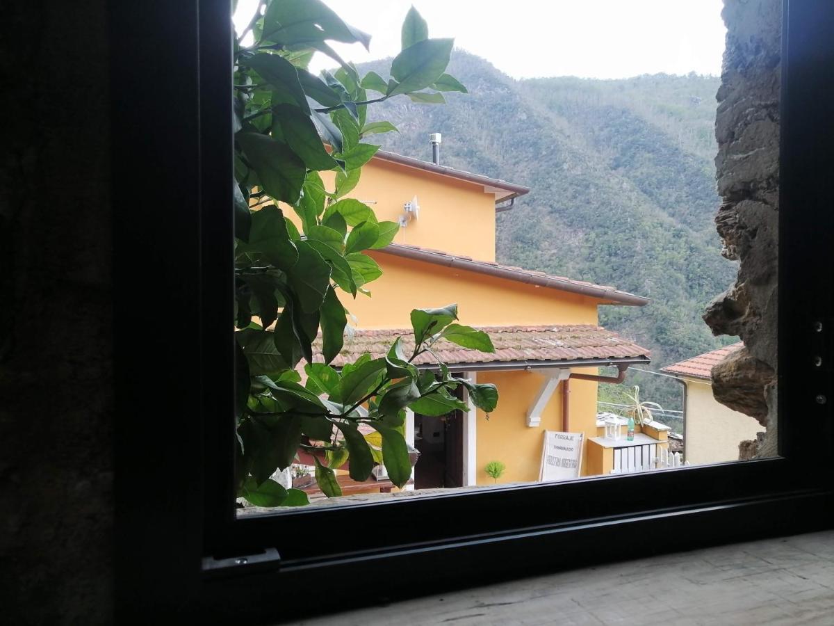 Bed and Breakfast Il Metato Di Gallena Stazzema Exteriér fotografie