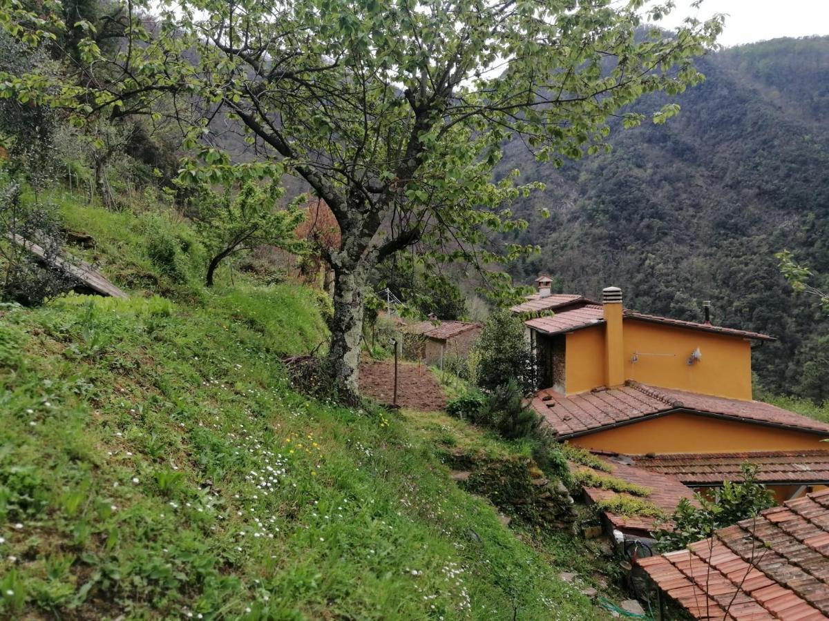 Bed and Breakfast Il Metato Di Gallena Stazzema Exteriér fotografie