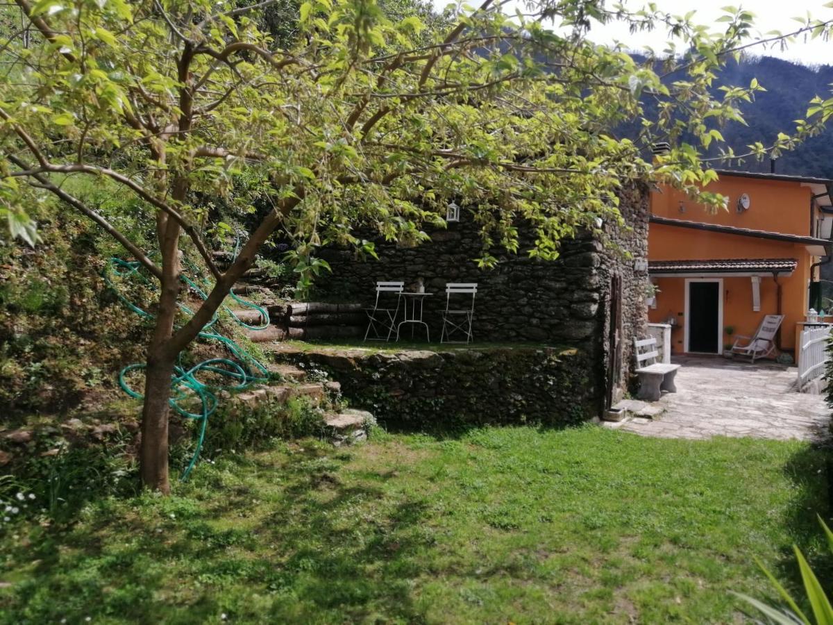 Bed and Breakfast Il Metato Di Gallena Stazzema Exteriér fotografie