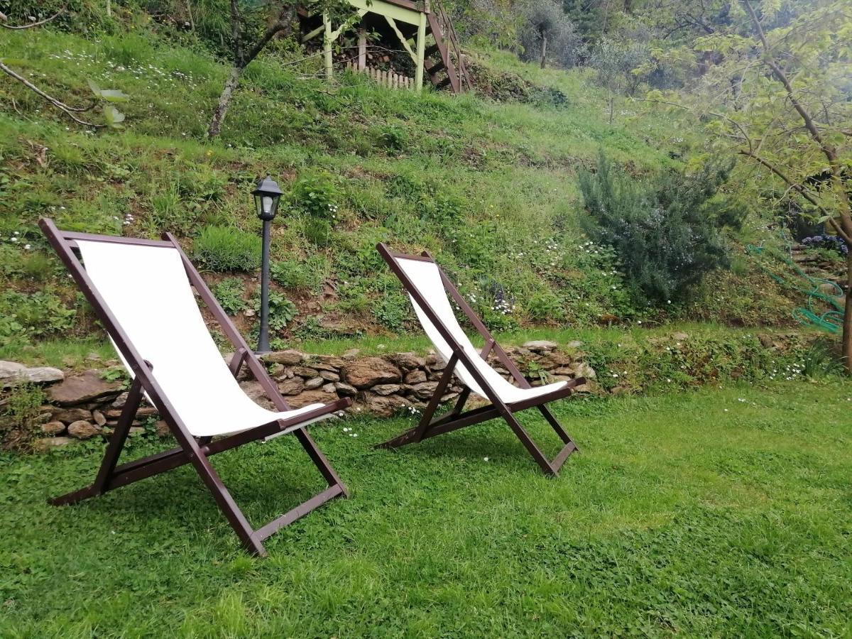 Bed and Breakfast Il Metato Di Gallena Stazzema Exteriér fotografie