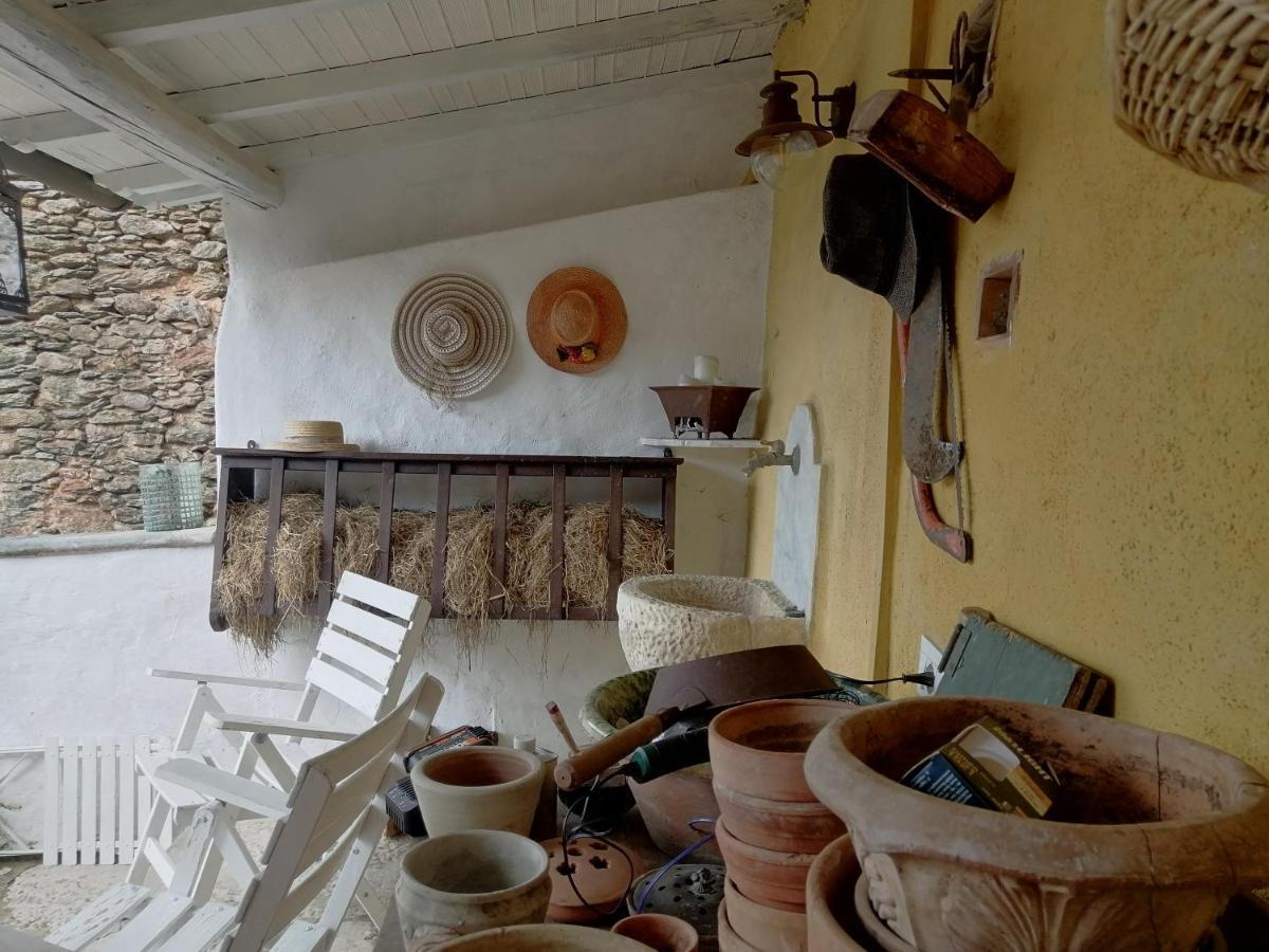 Bed and Breakfast Il Metato Di Gallena Stazzema Exteriér fotografie